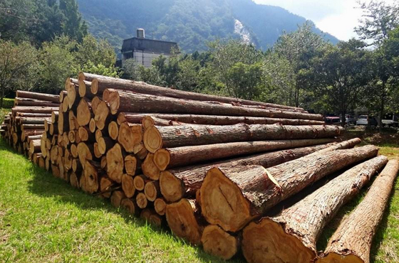 完善的木材服務體系